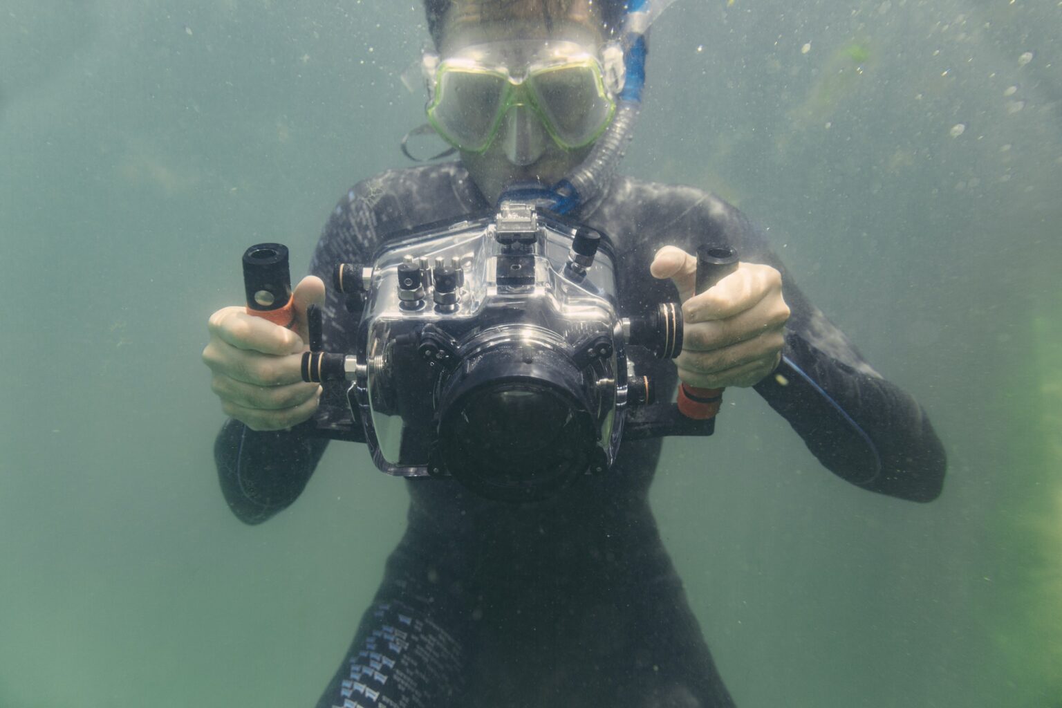 Photos sous-marines en macro - Atao Plongée