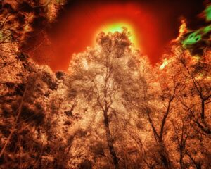 Photographie infra rouge