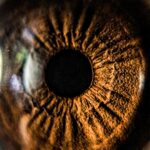 photographie de l'œil