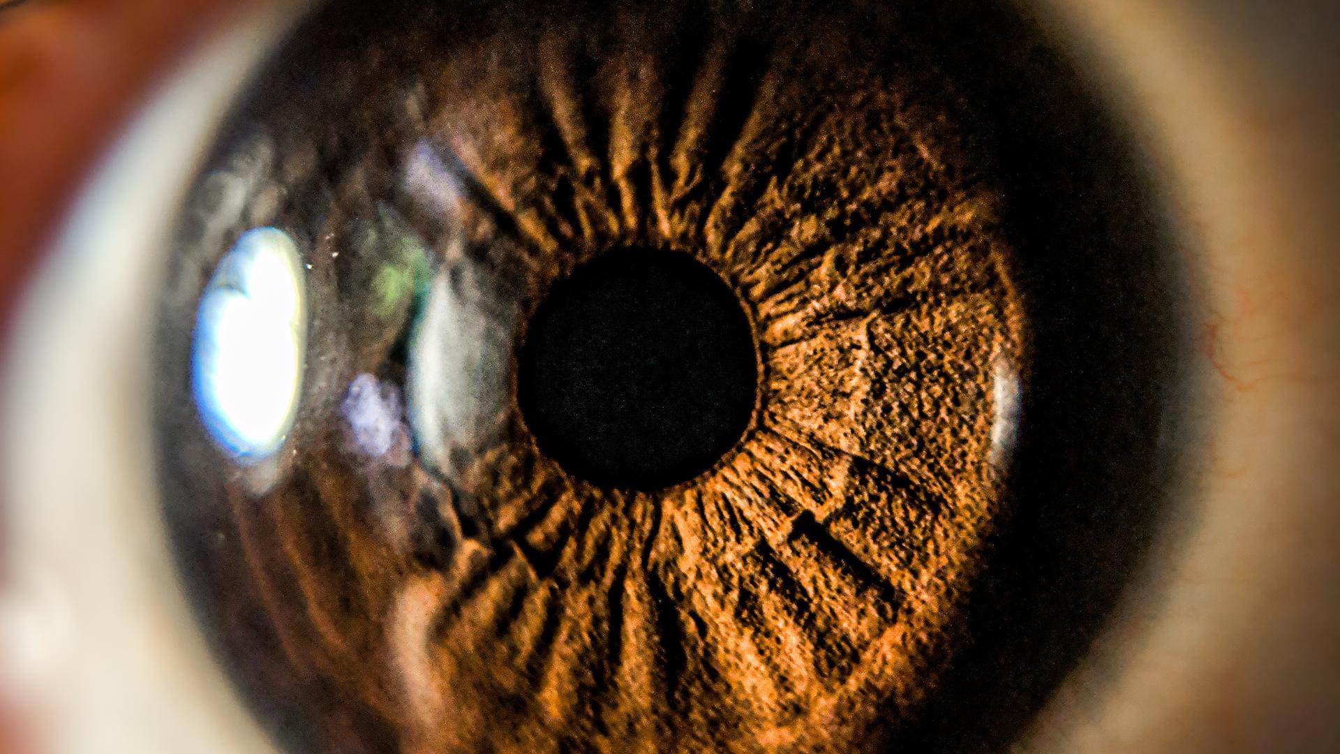 La photographie de l’œil : guide technique complet